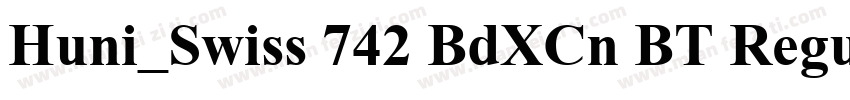 Huni_Swiss 742 BdXCn BT Regular字体转换